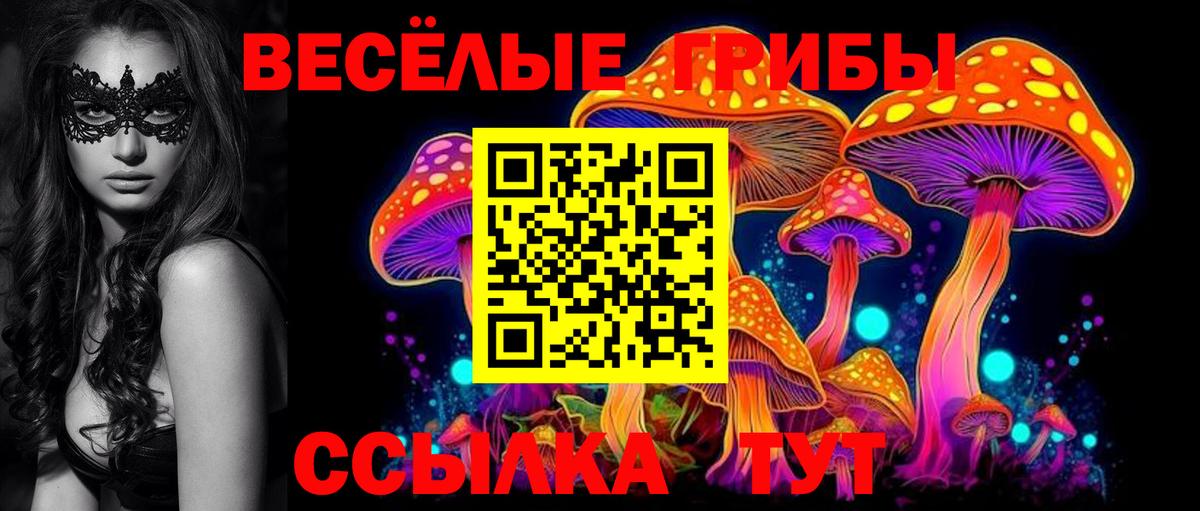 где найти   Псилоцибиновые грибы Cubensis  Вход с VPN  Псилоцибиновые грибы Cubensis  Красноярск 